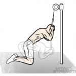 Best Mass Exercises 12 Kneeling Cable Crunches Rope