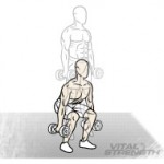 Best Mass Exercises 2 Barbell Squats