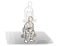 Best Mass Exercises 12 Kneeling Cable Crunches Rope
