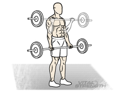 Best Arm Workout - BARBELL CURL