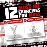 12-Must-Do-Exercises-for-mass