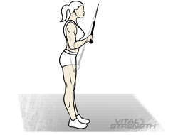 BEST ARM EXERCISES FOR WOMEN #5