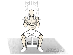 Best Shoulder Workout - Arnold Press